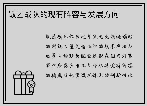 饭团战队的现有阵容与发展方向
